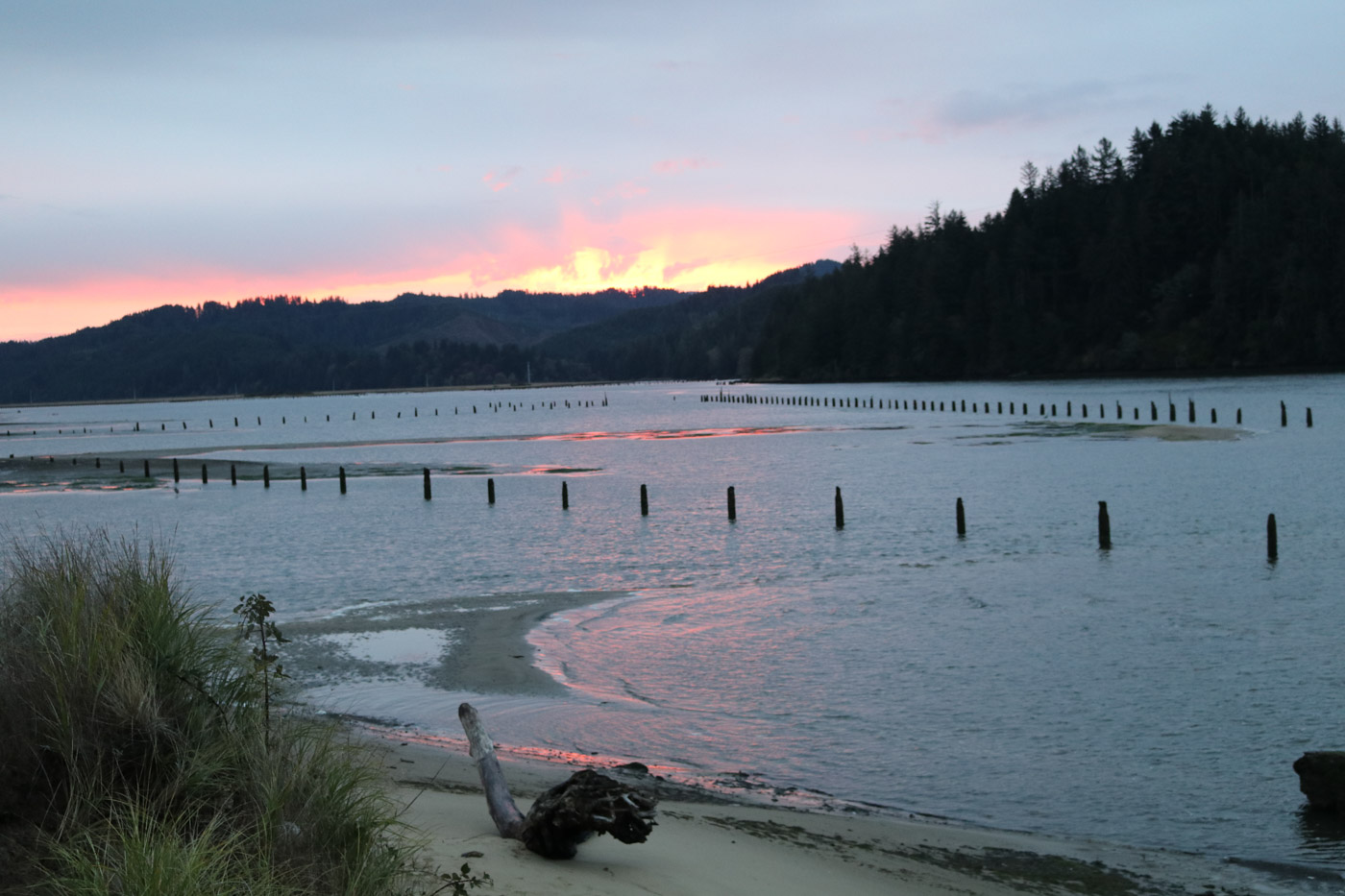 willamette river